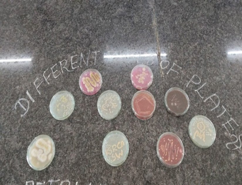 Hands on Training on "Emerging and Reemerging Viral Diseases"